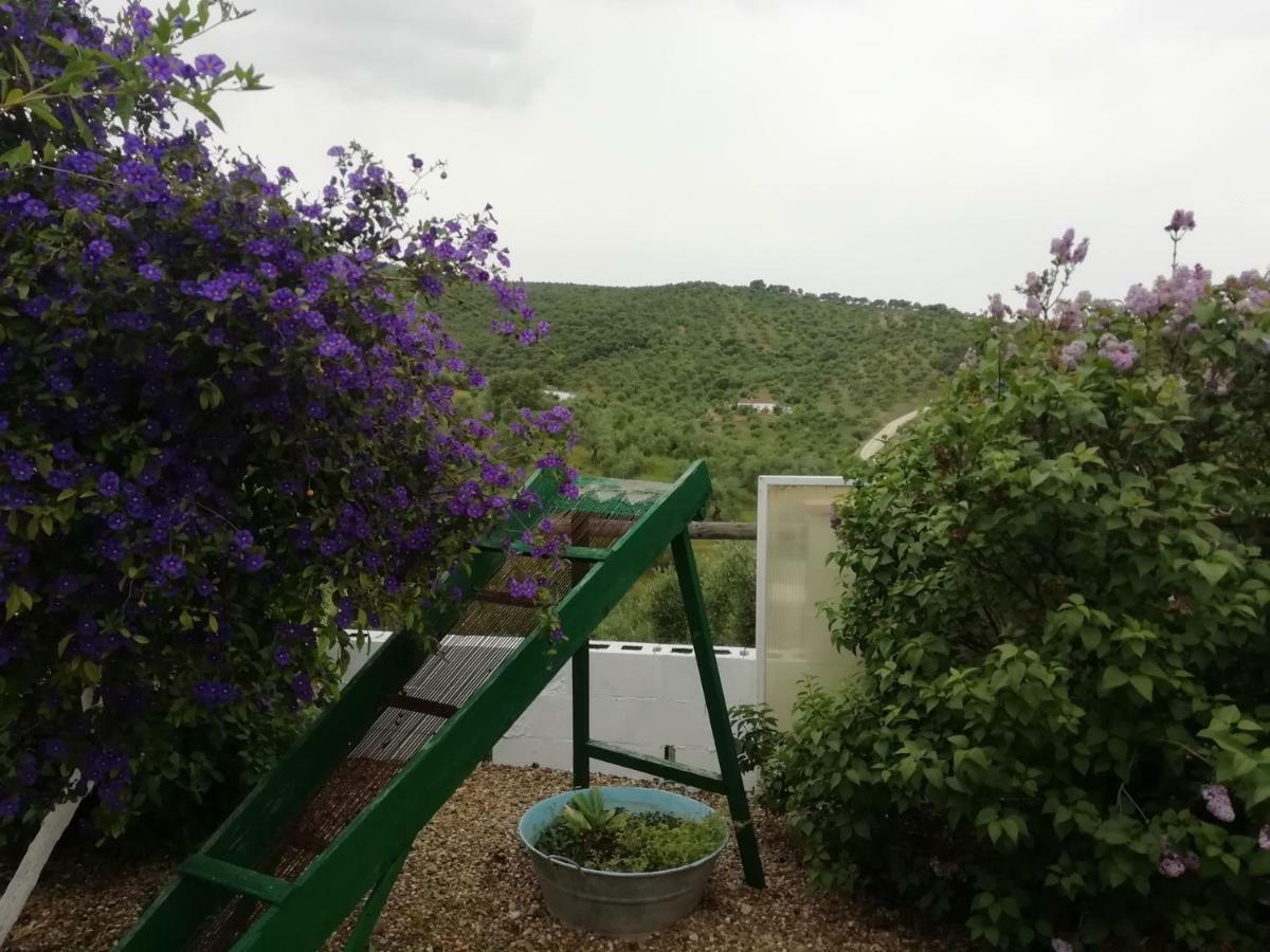 Alojamiento Rural La Perdiz Ла Пуебла де лос Инфантес Екстериор снимка